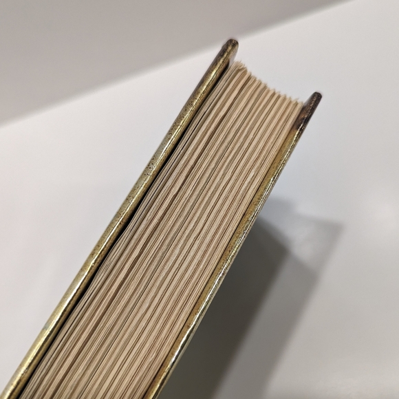 The Warlock: The Secrets of the Immortal Nicholas Flamel (2011, Hardcover) - Picture 9 of 9